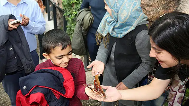 Tropikal Kelebek Bahçesi, yarıyıl tatilinde öğrencilere ücretsiz