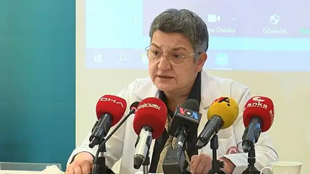 TTB Başkanı Şebnem Korur Fincancı tutuklandı