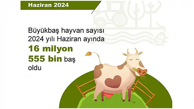 TÜİK: Büyükbaş varlığı azaldı, küçükbaş varlığı arttı
