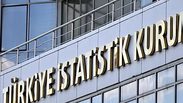 TÜİK, 'Teknogirişim Araştırması, 2024' bültenini yarın yayımlayacak