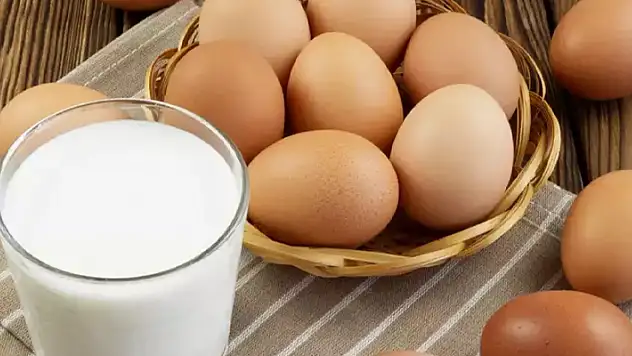 TÜİK: Yumurta üretimi ve inek sütü miktarı arttı