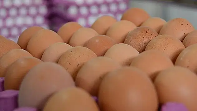 Tüketicinin talebi kahverengi yumurtanın fiyatını uçurdu