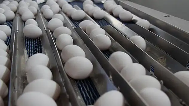 Tüketiciyi üzen yumurta fiyatı üreticiye nefes aldırdı