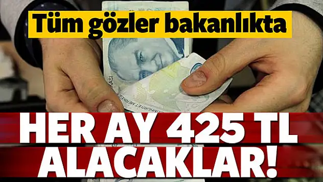 Tüm gözleri bakanlıkta! Her ay 425 TL alacaklar