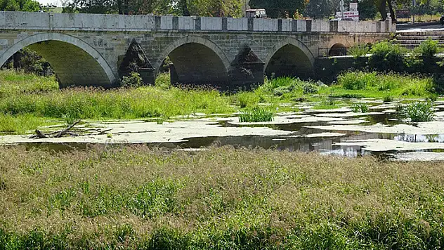 Tunca Nehri'nde kuraklık nedeniyle su akışının durduğu alanlar ot öbekleriyle kaplandı