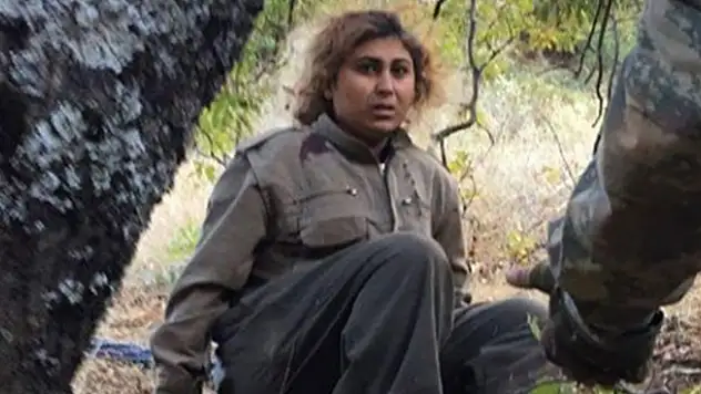 Tunceli'de 13 terörist etkisiz hale getirildi