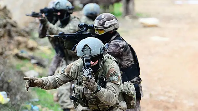 Tunceli'de bir terörist daha etkisiz hale getirildi