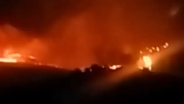Tunceli'de çıkan örtü yangını 2 saatte söndürüldü
