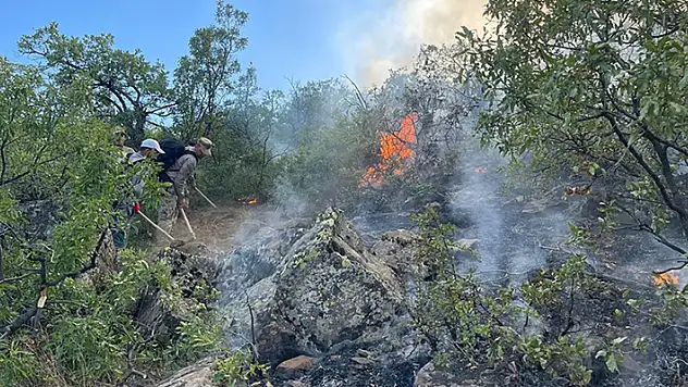 Tunceli'de ormanlık alanda çıkan örtü yangınının söndürülmesi için çalışmalar sürüyor
