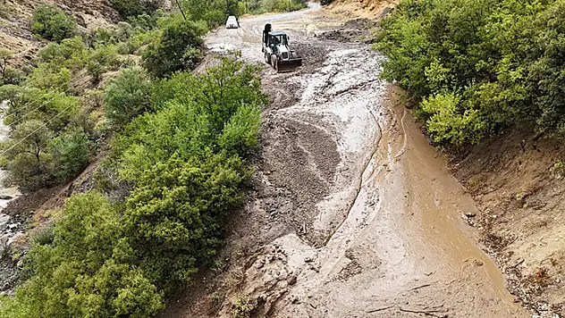 Tunceli'de sağanak yağış heyelana neden oldu

