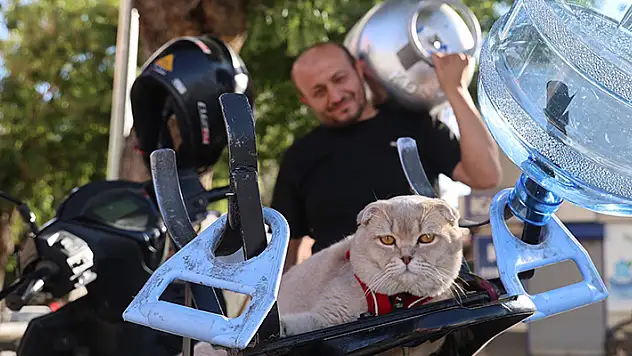 Tüpçünün motosiklet tutkunu kedisi
