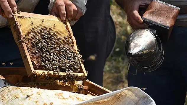 Türk balı yılın ilk yarısında 46 ülkeye ihraç edildi
