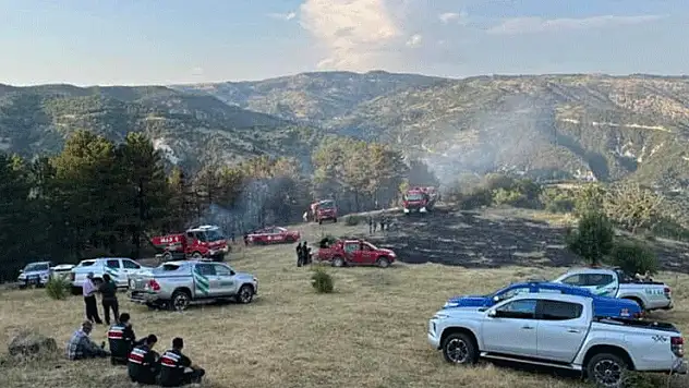 Beypazarı'nda 15 dönüm ekili alan yandı