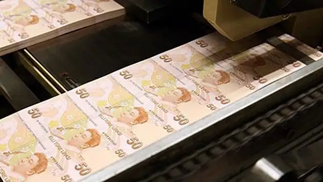 Türk Lirası yıllık bazda yüzde 19 değer kaybetti