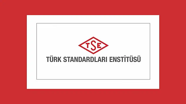 Türk Standardları Enstitüsü 91 personel alacak