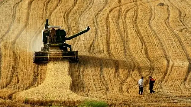 Türkiye, 19 tarım ürünü üretiminde dünyada ilk 4'te
