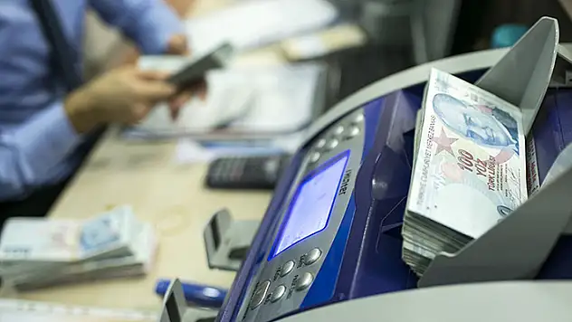 Türkiye Aile Destek Programı ödemeleri hesaplara yatırılmaya başlandı
