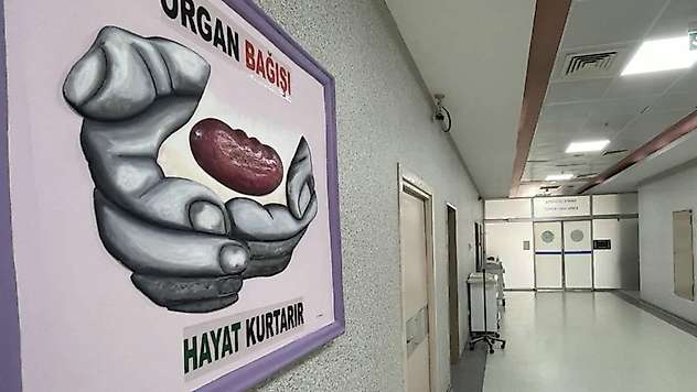Türkiye'de 21 yılda 74 binden fazla organ nakli gerçekleştirildi
