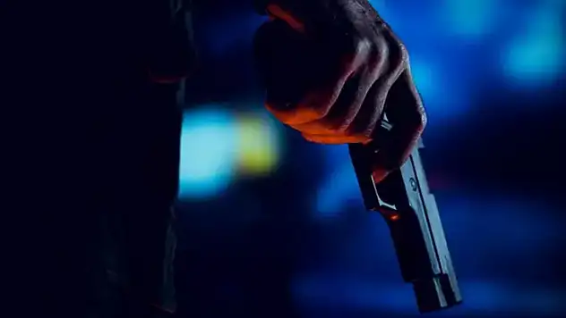 Türkiye'de 34 milyon silahın 30 milyonu ruhsatsız! 
