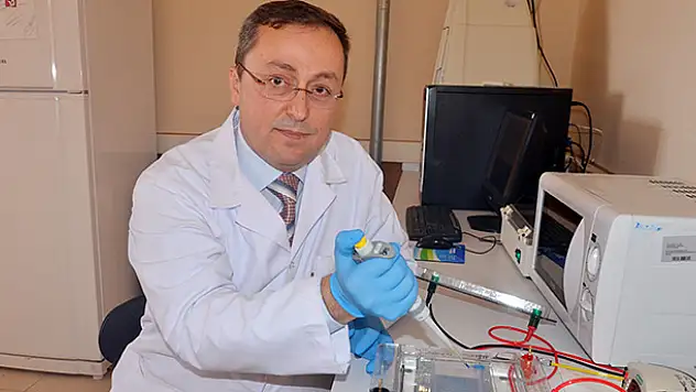 Türkiye'de GDO'lu buğday yok