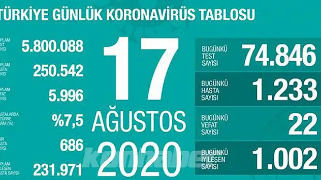 Türkiye'de koronavirüs vaka sayısı 250 bini geçti