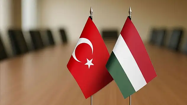 Türkiye-Macaristan Ortak İstişare Mekanizması'nın Birinci Toplantısı yarın İstanbul'da yapılacak