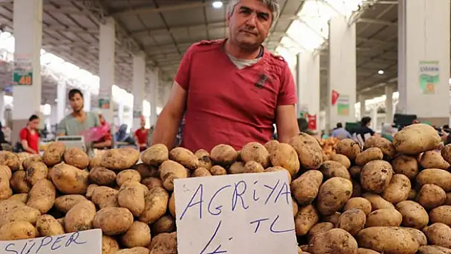 Türkiye neden Suriye'den patates alıyor? Patatesle ilgili bilmeniz gerekenler