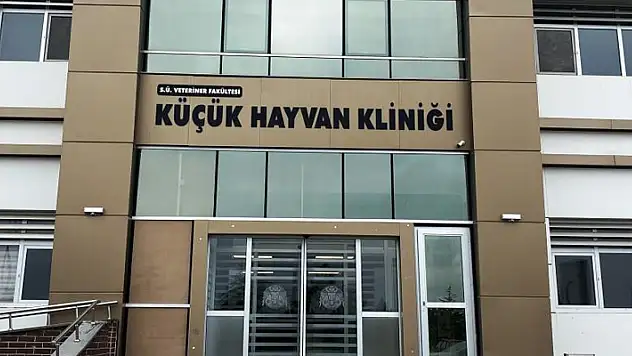 Türkiye'nin en büyük hayvan hastanesi 7/24 hizmette