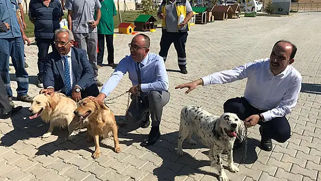 Türkiye'nin en büyük ve en modern hayvan barınağı Konya'da
