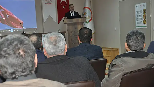 Türkiye'nin en kıymetli arı ırkı Toroslar'da