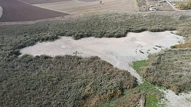 Türkiye'nin en önemli kuş cennetleri arasında yer alıyordu: Kuraklık tamamen kuruttu
