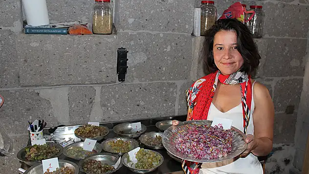 Türkiye'nin farklı bölgelerinde üretilen 32 çeşit üzüm incelendi amaç nesli korumak
