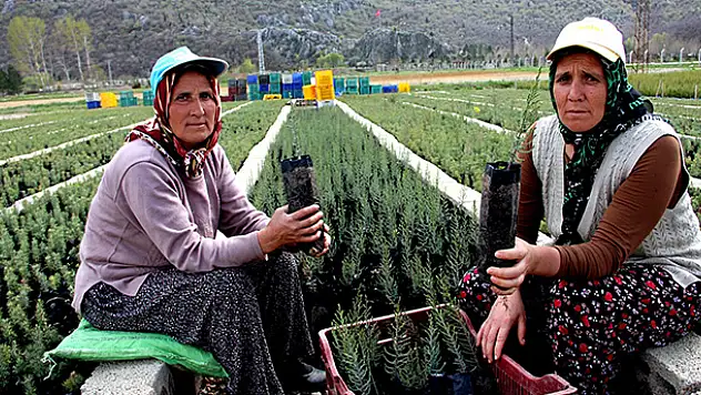 Türkiye'nin fidanı Konya'dan