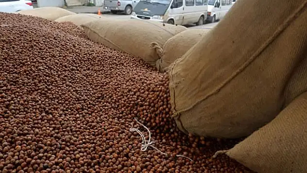 Türkiye'nin ilk fındık borsası açılıyor