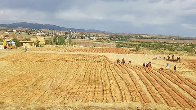 Türkiye'nin ilk Tarım ve Gençlik Kampı Konya'ya kurulacak