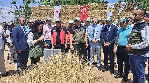 Türkiye tohumculuğuna Konya'dan yeni katkı