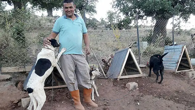 Türkiye'ye örnek uygulama: Gönüllü hayvan dostları projesi