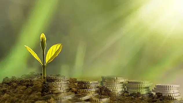 Türkiye'de bankaların iklim hedeflerine yönelik adımları sınırlı kaldı