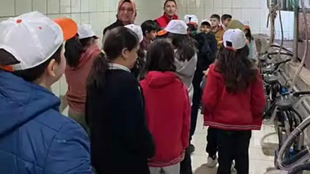 Türkiye'nin bilinçli çiftçileri Konya'da yetişiyor