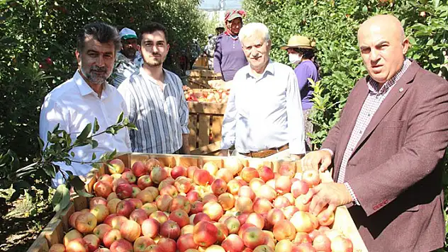Türkiye'nin elma deposu Karaman'da 55 gün sürecek olan elma hasadı başladı
