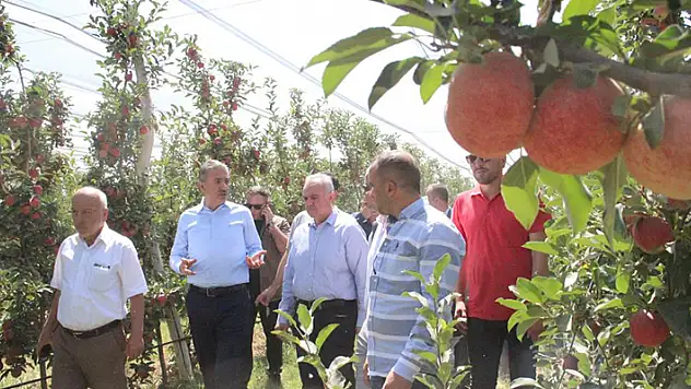 Türkiye'nin elma deposu Karaman'da hasat başladı

