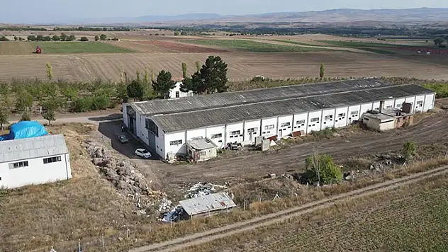 Türkiye'nin ilk kenevir fabrikası 40 yıl sonra yeniden üretimde
