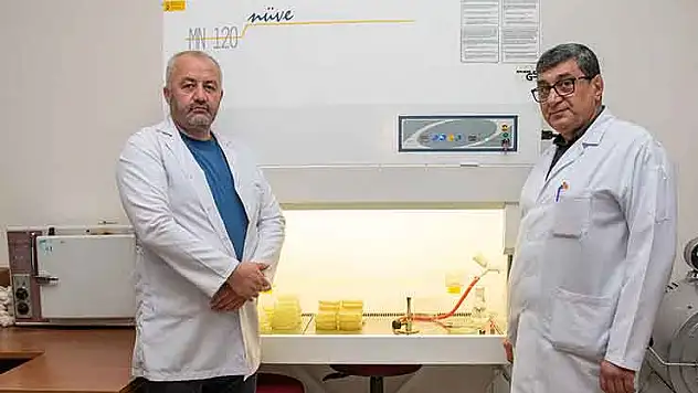 Türkiye'nin zengin mantar çeşitliliği Konya'da