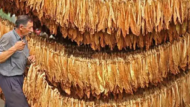 Tütün ürünlerine yeni düzenleme