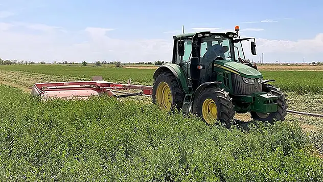 Tuz Gölü Havzası'nda yonca verimi üreticinin yüzünü güldürüyor
