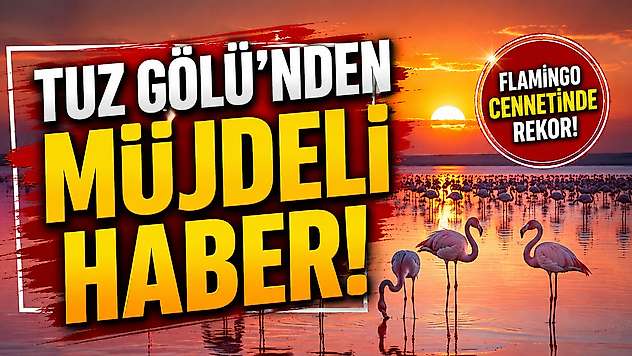 Tuz Gölü'nden müjdeli haber!