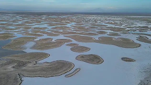 Tuz Gölü'nde yaşanan kuraklık biyolojik çeşitliliği de etkiliyor