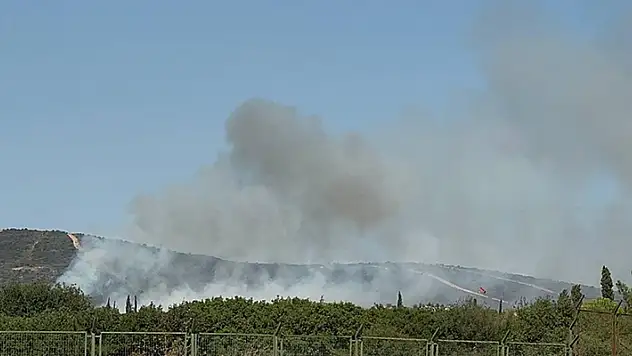 Tuzla'da askeri alanda yangın çıktı
