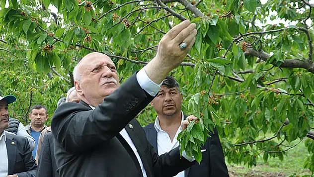 TZOB Genel Başkanı Bayraktar, Konya'da zirai dondan etkilenen bahçeleri inceledi