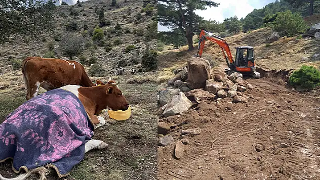Uçurumdan düşen inek için 2 gün süren kurtarma operasyonu
